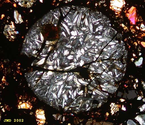 Various Chondrules From H3 Chondrite Brownfield Thin Section